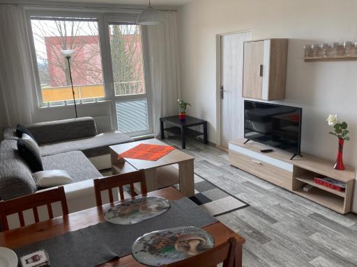 Apartmán ve Velkých Losinách - Housity