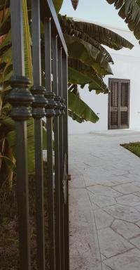 Il Negramaro - Housity
