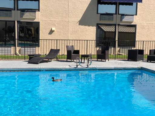Abilene Whitten Inn - Housity