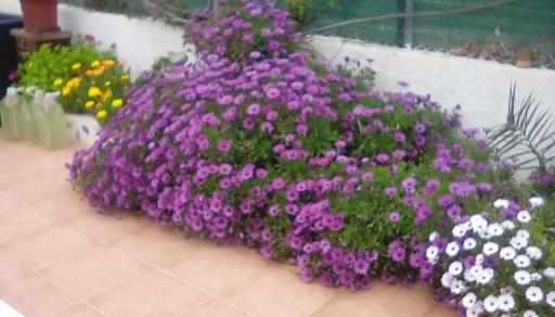 Relaxing apartment country setting - Housity