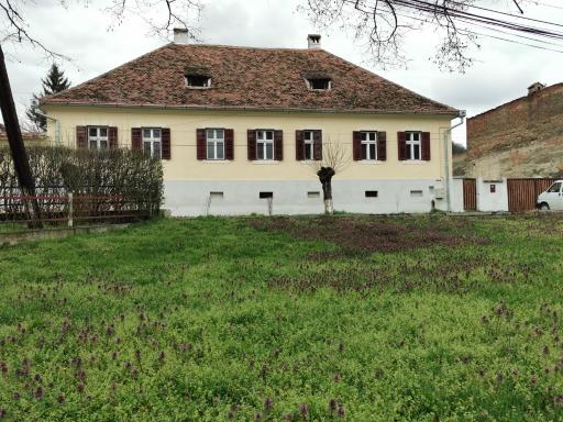 Unesco Apartments Wurmloch - Housity