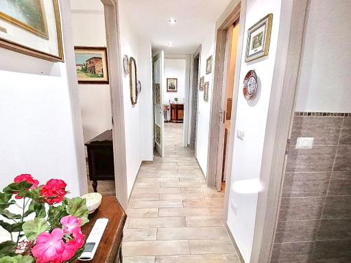 Zambrini House - Housity
