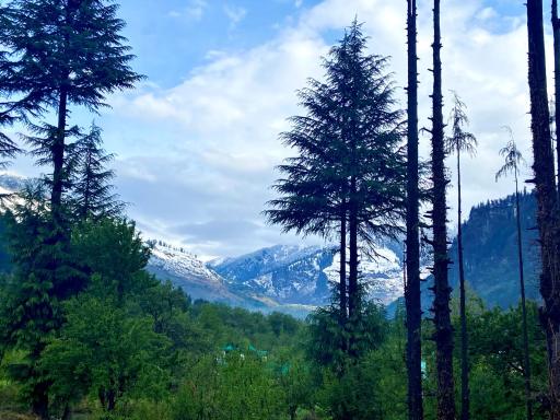 Getaway Stays Manali - Housity