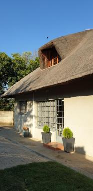 White Feathers - Housity