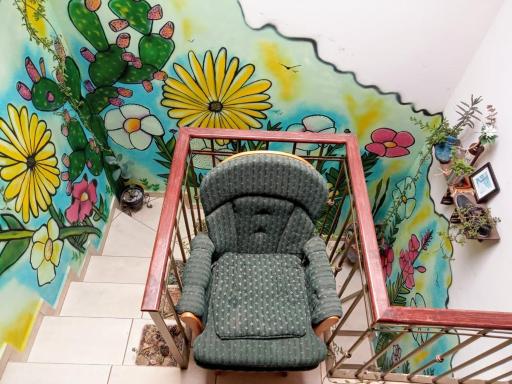 The House of Plants, Complete Cozy House in Zacatecas City, Mexico - Housity