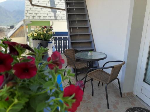 Apartments Rupnik - Housity