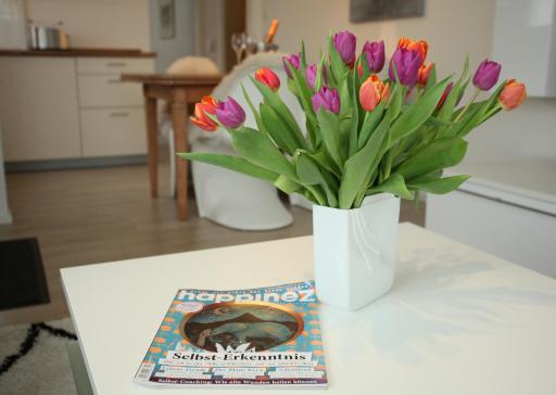 Casa Annika - Housity