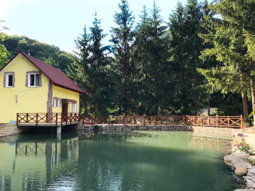 Shaianitsia - Housity