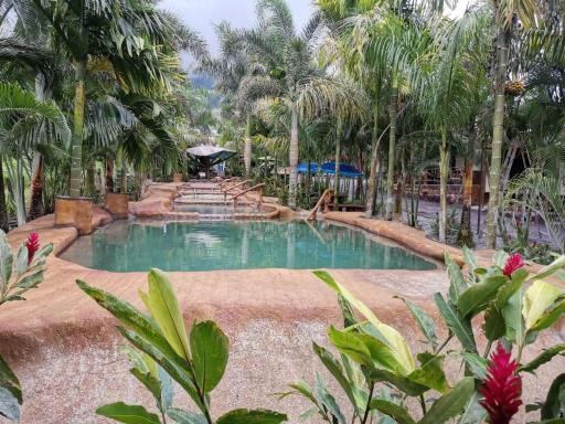 Hotel Palmera Real Hot Springs - Housity