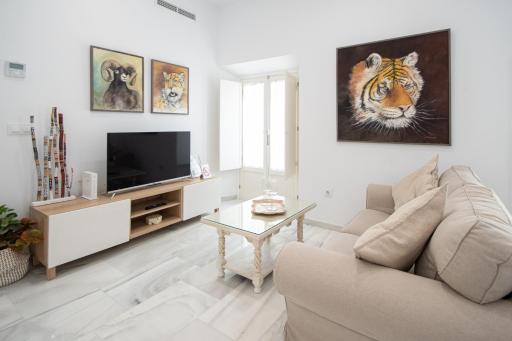 Apartamento Animalia - Housity