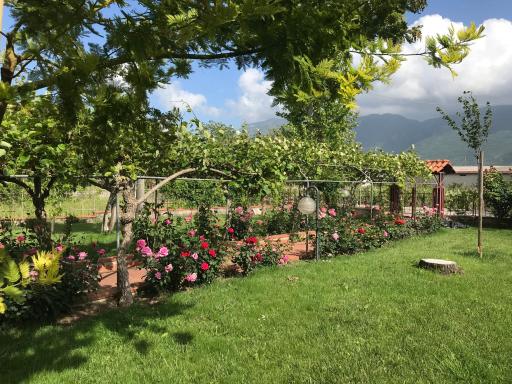 Alma Migrante bed&wine - Housity