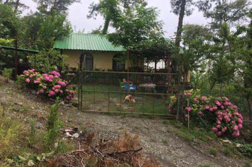 Her şeyden uzak, çam ormanı içerisinde Yayla Evi - Housity