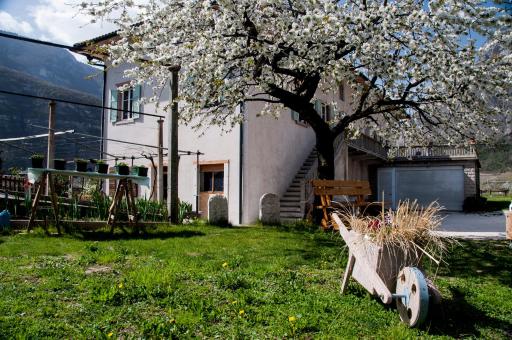 B&B La Fosina - Housity
