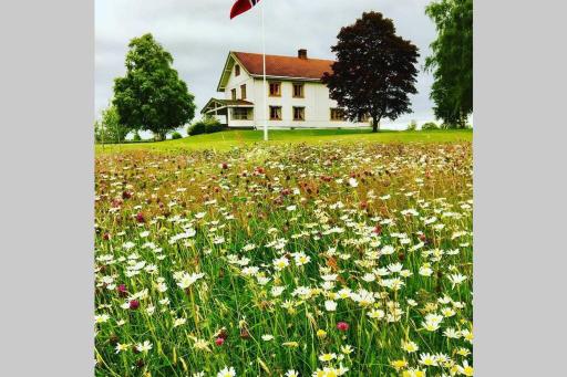 Idyllisk gård med stor plass - Housity