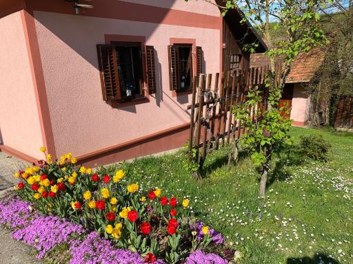 Country house 'Pri lipi' - Housity