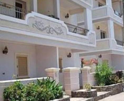 Oasis Palmeira - Hizvo