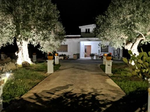 Casavacanze PugliaMia - Housity
