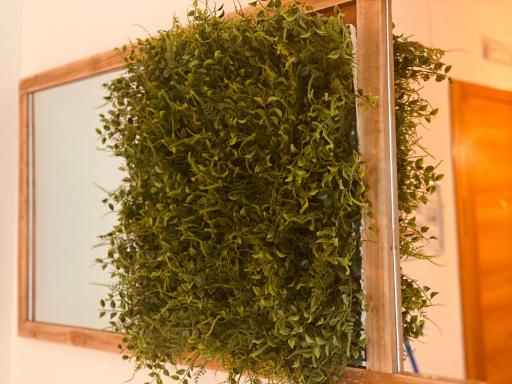 CASA RUY LÓPEZ Apartamento ESPAÑA - Housity