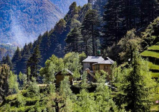 Barei Jungle Lodge - Housity