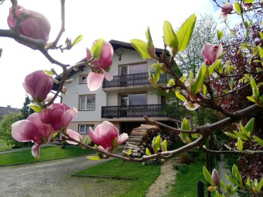 Agrowczasy - Housity