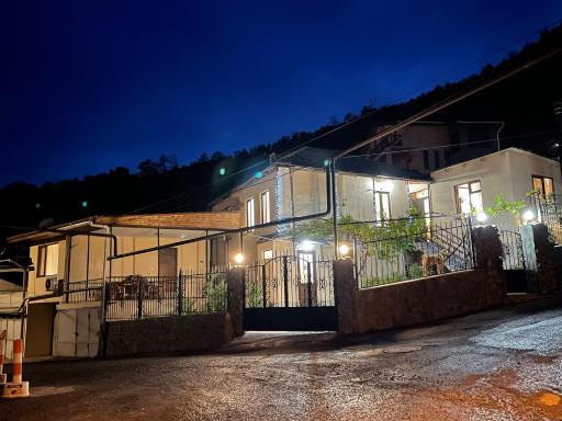 Luxury Apartment at Pirosmani 22 in central Borjomi - Housity