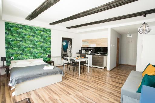 Old Town Studio (B) - Housity