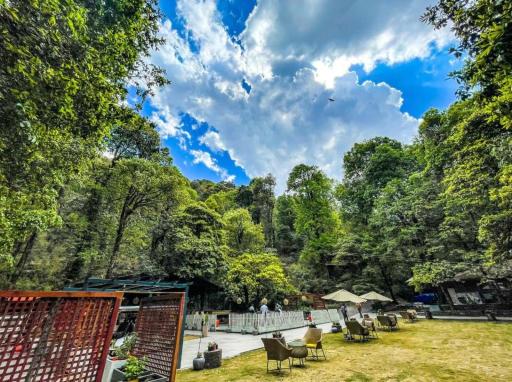 Ayar Jungle Resort - Housity