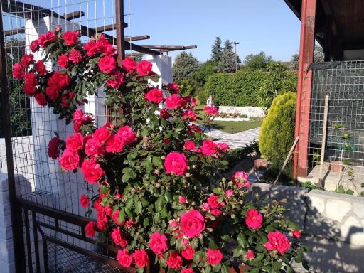 Green house - Apartment in Aridaia-Loutra Pozar - Housity