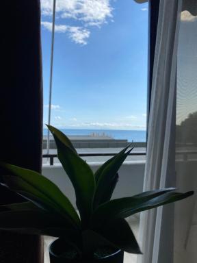 Alexander Apartments - Housity