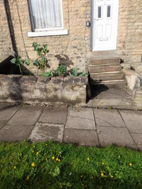 Balfour Street - Housity