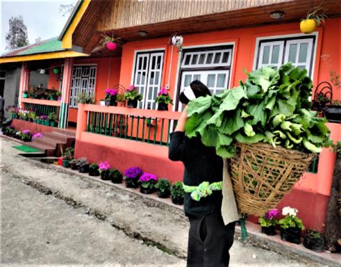 Temi Sarika Homestay - Housity