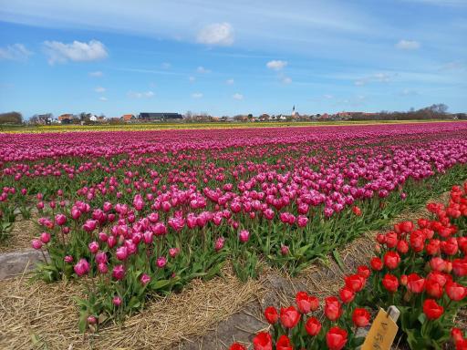 Bed en Breakfast kamers en meer Het Spookhuis - Housity