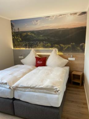 Paganetti´s Chalet - Housity