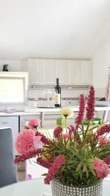 Apartment Jelena Sutvara - Housity