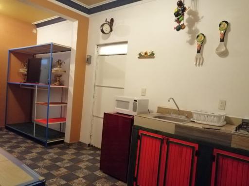 La Frida Kahlo Verde 1er piso - Housity