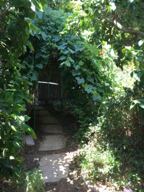 The fruit garden guesthouse - Housity