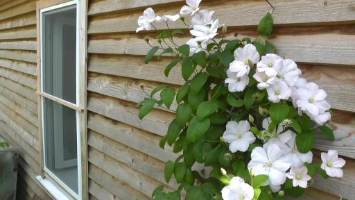 Gostevoi dom tarusa - Housity