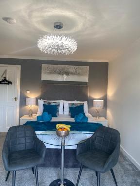 Dandelion - Housity