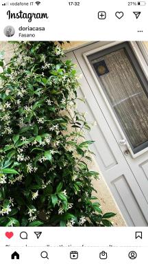 casa Gelsomino - Housity