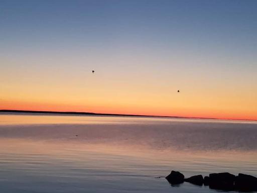 Bayview Lakefront Inn - Housity