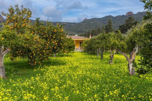 A charming country cottage + bikes and kayaks - Housity