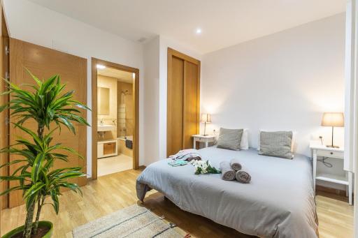 Premium Mitjana - Housity