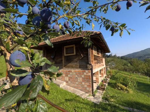 Ethno Village Bogut - Housity