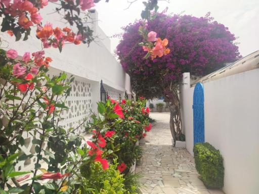 Suite à sidi bou Saïd - Housity