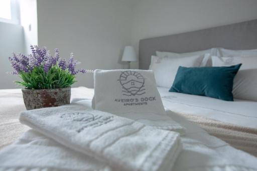 Aveiro´s Dock Apartments - Housity