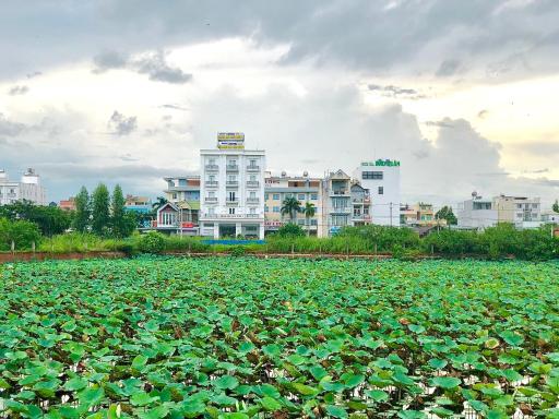 HOTEL ĐĂNG KHOA 1 NÚI SAM - Housity