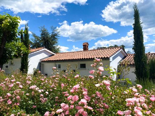 Calma bungalows - Housity