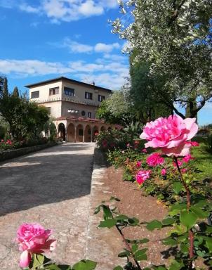 Villa Paradiso - Housity