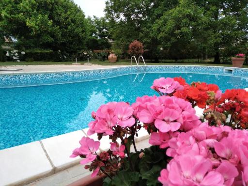 Agriturismo Le Chicche di Mafalda - Housity