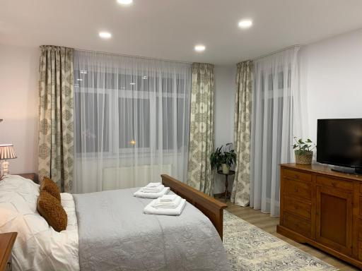 Dana House in Central Cluj - Housity